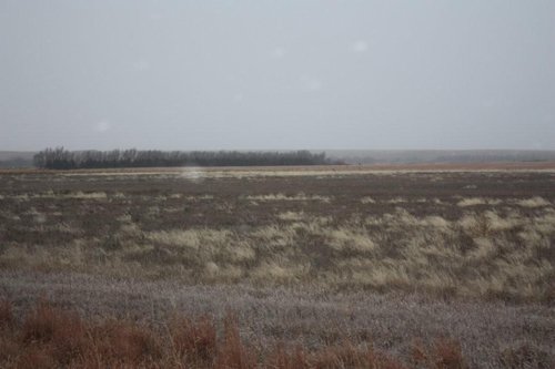 Property photo 25 - Kansas Land Auction - 960 Acres - 7 Farms in 3 Counties